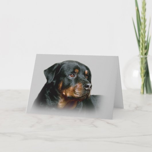 Rottweiler Grußkarte Karte (Vorderseite)