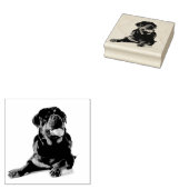 Rottweiler Gummistempel (Stempel)