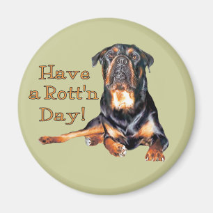 Rottweiler haben einen faulen Tag Magnet
