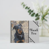 Rottweiler Head Tilt Cuteness Danke Postcard Postkarte (Stehend Vorderseite)