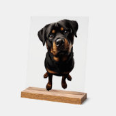 Rottweiler Hund Acrylschild (Winkel)