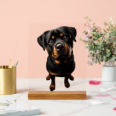 Rottweiler Hund Acrylschild (Hochzeit)