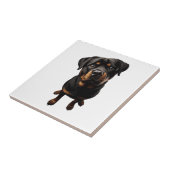 Rottweiler Hund Fliese (Seite)