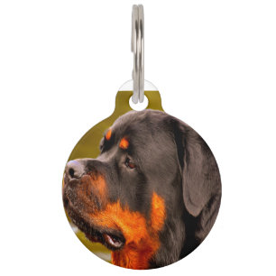 Rottweiler Hund Haustiermarke