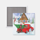 Rottweiler Hund in der Weihnachtslieferung LKW Sch Magnet (Vorderseite/Rückseite)