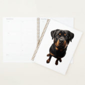 Rottweiler Hund Planer (Anzeige)