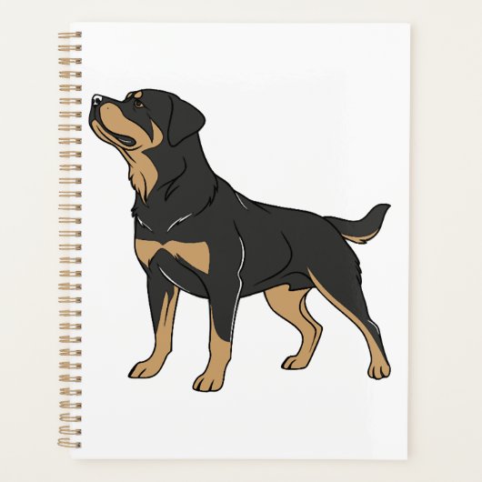 Rottweiler Hund, Rottweiler Hund stehend Planer (Vorderseite)