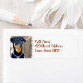 Rottweiler Hund Rücksendeadresse (Insitu)