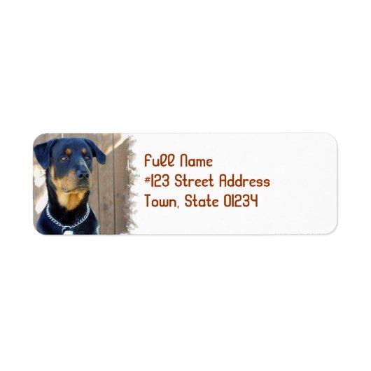 Rottweiler Hund Rücksendeadresse (Vorne)