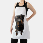 Rottweiler Hund Schürze (InSitu)