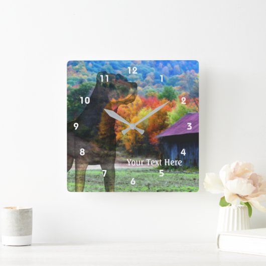 Rottweiler Hund und alter Tabakstall Quadratische Wanduhr (Zuhause)