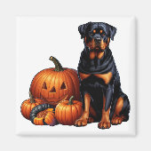 Rottweiler Hund von Halloween Pumpkins sitzend Magnet (Vorne)