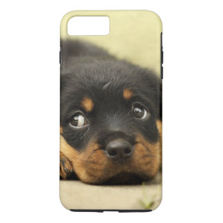 Rottweiler Hündchen neugierig Case-Mate iPhone Hülle