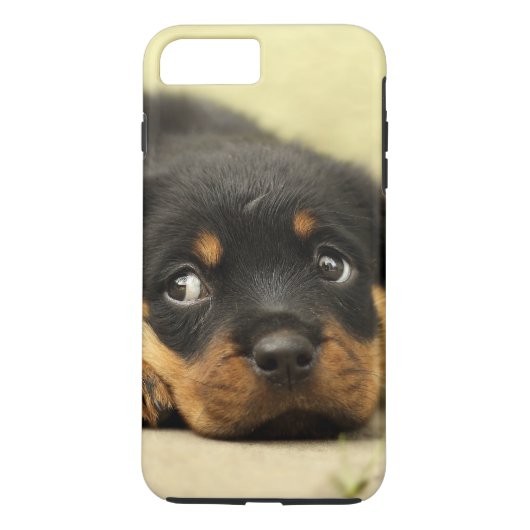 Rottweiler Hündchen neugierig Case-Mate iPhone Hülle (Rückseite)
