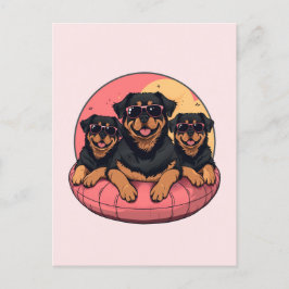Rottweiler Hunde Sommer Pool Flolows Postkarte