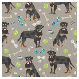 Rottweiler Hunde und Hundespielzeug tauchen Stoff