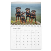 Rottweiler Hunde Wandkalender 2027 (Jan 2027)