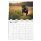 Rottweiler Hunde Wandkalender 2027 (Feb 2027)