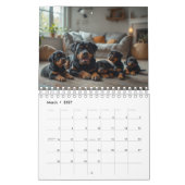 Rottweiler Hunde Wandkalender 2027 (Mär 2027)
