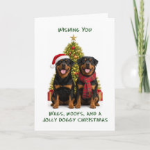 Rottweiler Hunde Weihnachten