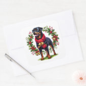 Rottweiler in einem Weihnachtskranz mit Glocken Quadratischer Aufkleber (Umschlag)