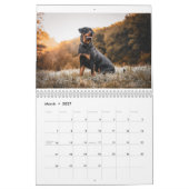 Rottweiler Kalender (Mär 2027)
