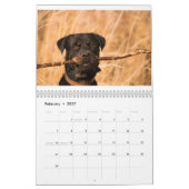 Rottweiler Kalender (Feb 2027)
