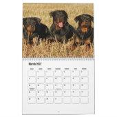 Rottweiler Kalender (Mär 2027)