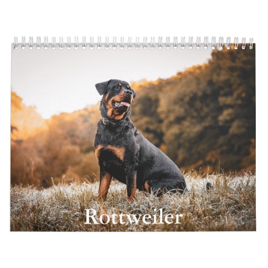 Rottweiler Kalender (Titelbild)