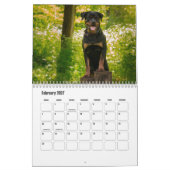 Rottweiler Kalender (Feb 2027)