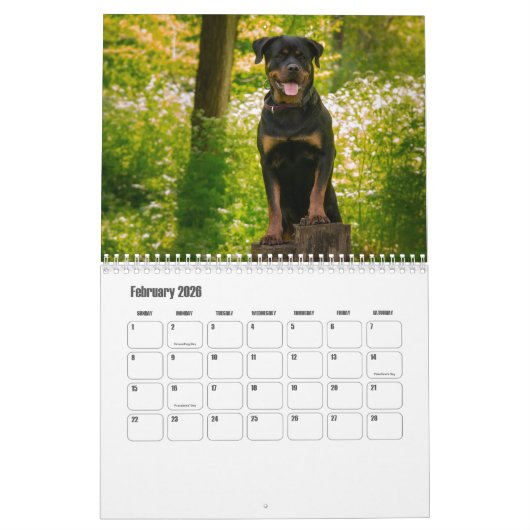 Rottweiler Kalender (Feb 2026)
