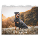 Rottweiler Kalender (Titelbild)