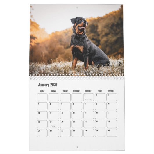 Rottweiler Kalender (Jan 2026)