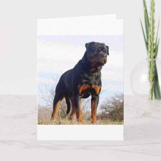 Rottweiler Karte (Vorderseite)