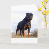 Rottweiler Karte (Gelbe Blume)