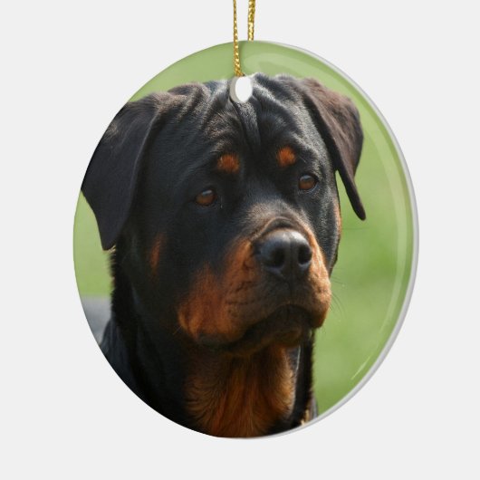 Rottweiler Keramik Ornament (Links)