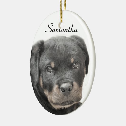 Rottweiler Keramikornament (Links)