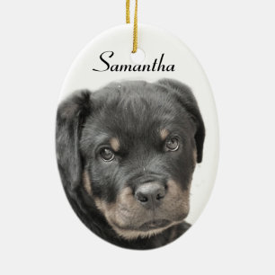 Rottweiler Keramikornament