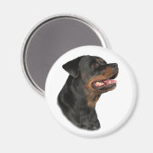 Rottweiler-Kopfmagnet Magnet (Vorderseite/Rückseite)