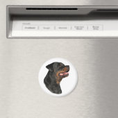 Rottweiler-Kopfmagnet Magnet (In Situ (Geschirrspüler))