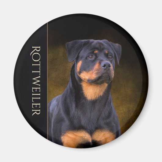 Rottweiler Kühlschrankmagnet (Vorne)