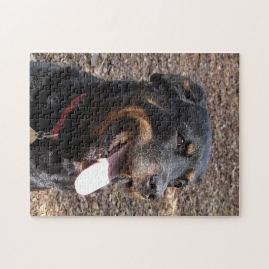 Rottweiler lächelt Hundepuzzle Puzzle (Horizontal)