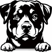 Rottweiler Liebhaber Golfhandtuch