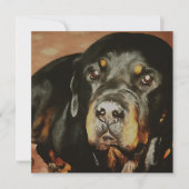Rottweiler Lover Pet Portrait Einladung (Vorderseite)