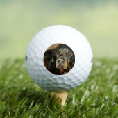 Rottweiler Lover Pet Portrait Golfball (Insitu T-Shirt)