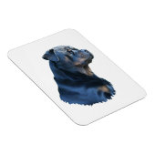 Rottweiler Magnet (Rechte Seite)