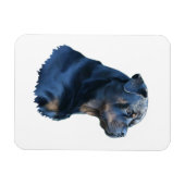 Rottweiler Magnet (Horizontal)
