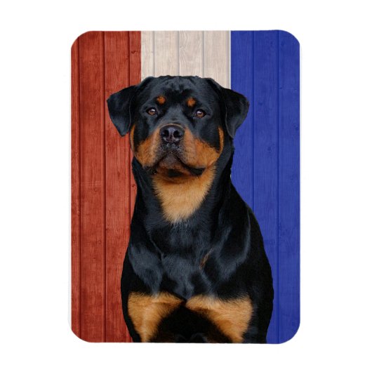 Rottweiler Magnet (Vertikal)