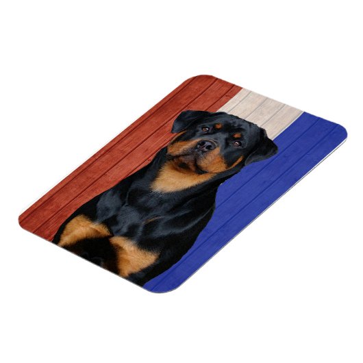 Rottweiler Magnet (Linke Seite)