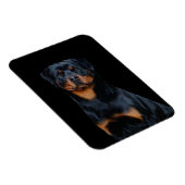 Rottweiler Magnet (Rechte Seite)